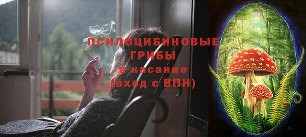 2c-b Кулебаки