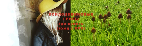 соль курить ск Ладушкин