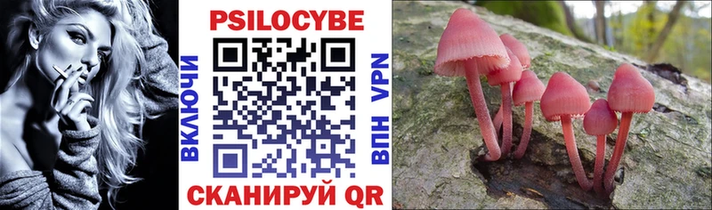 Купить  Белозерск  Галлюциногенные грибы Cubensis 